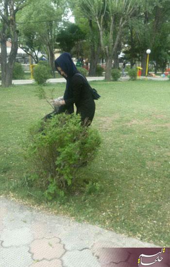 http://up.khalkhalim.com/uploads/149941979178689.jpg